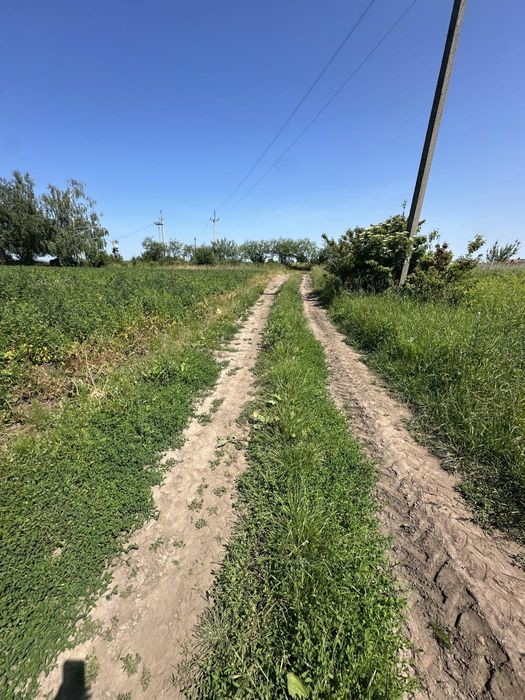 Продаж земельної ділянки с.Кошелів