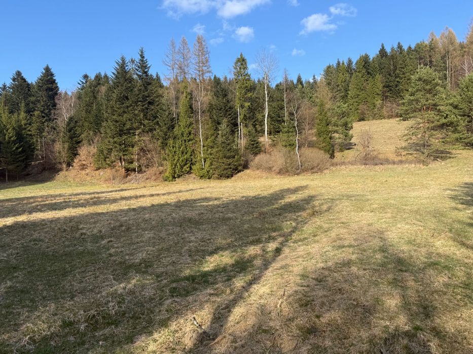 4 działki na sprzedaż Banica - Widok 2