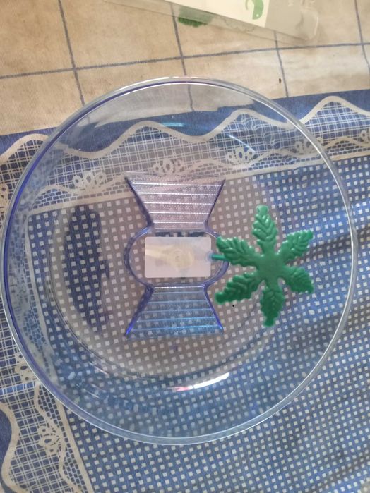 Tartarugueiras novas