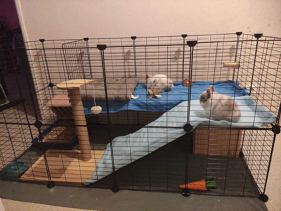 Wybieg NOWA Klatka Kojec dla KRÓLIKA Świnki Chomika PSA Modułowa DUŻA