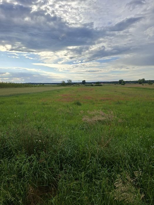 Działka rolna 29 arów  Breń