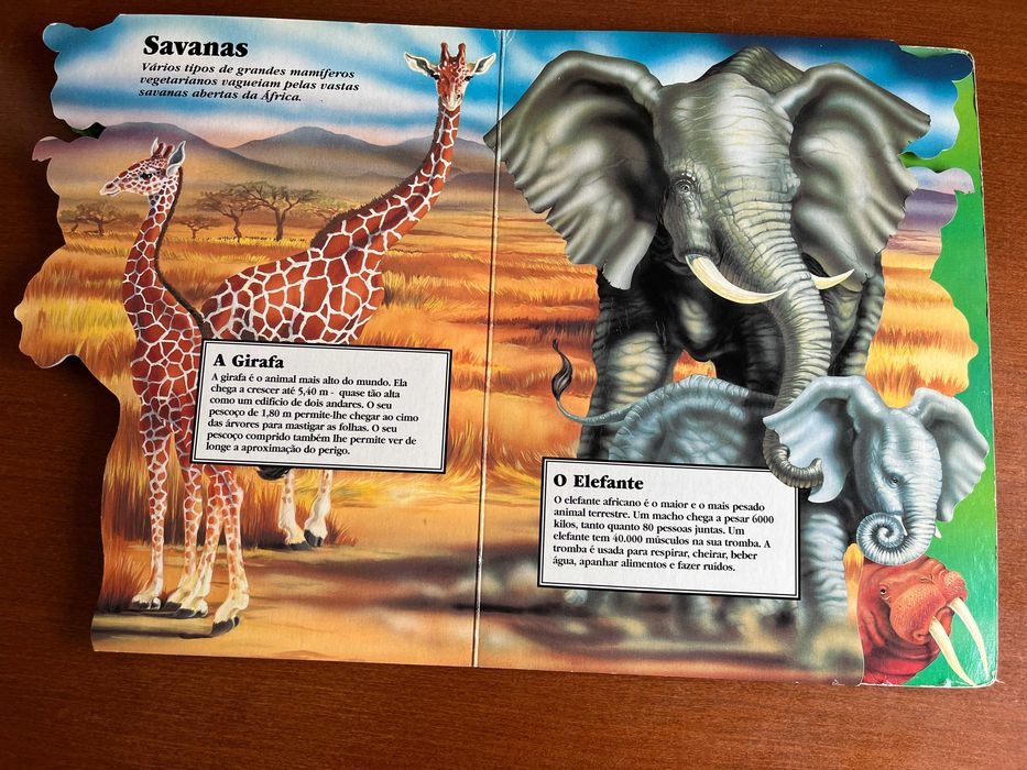 Mamíferos na Ponta dos Dedos