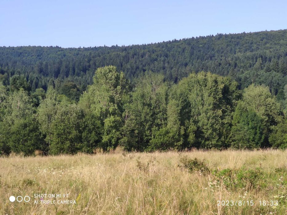sprzedam działkę w Bieszczadach - View 5
