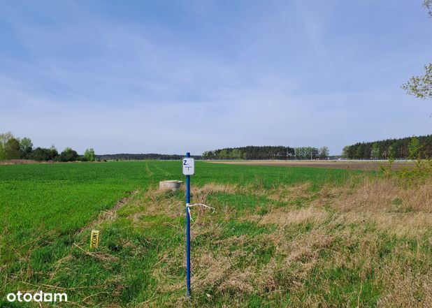 Działka inwestycyjna w Żołędowie