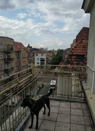 Mieszkanie – Poznań - Widok 3