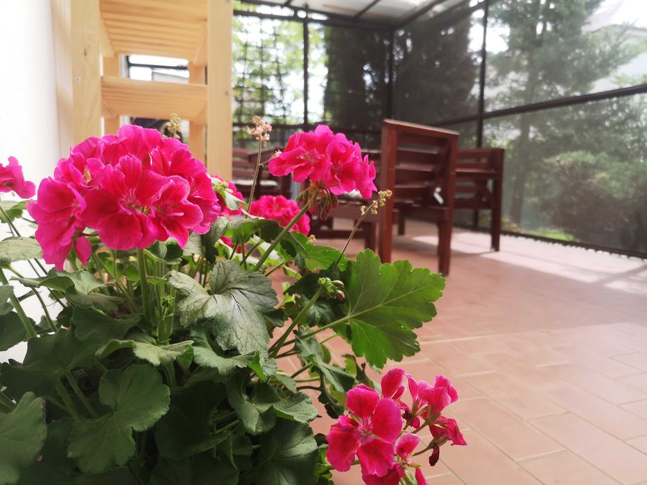 Zimowy weekend w Krakowie! Tanie pobyty rodzinne i grupowe do 22os!