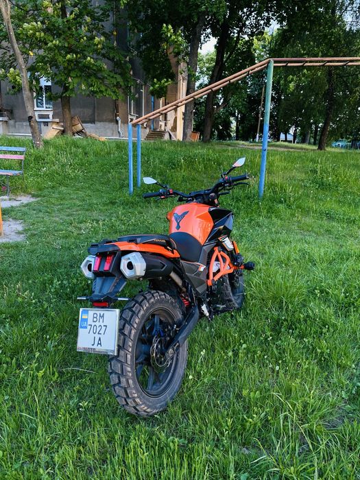 Tekken 250 2024 r-line