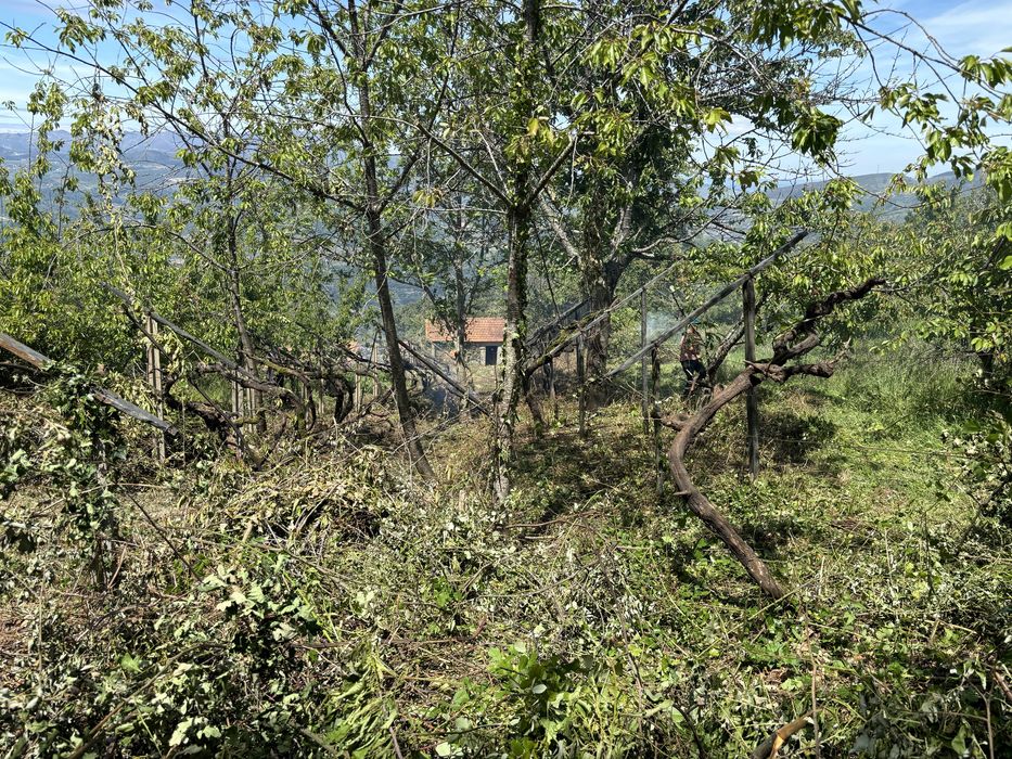 Limpeza de terrenos/jardins