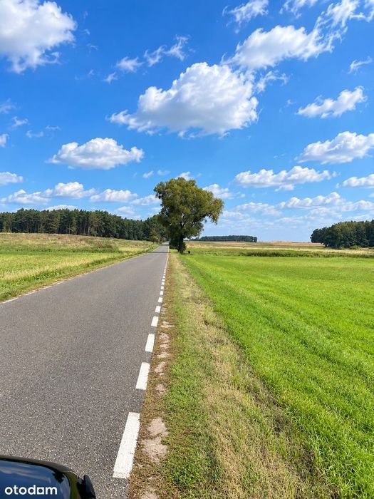Szwajcarski klimat pod Poznaniem. Wyjątkowy teren, działki budowlane. - Widok 4