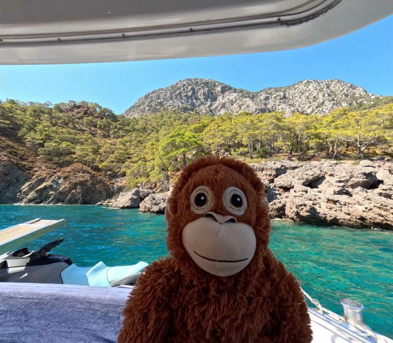 Приведу клиентов через Telegram | Бот под ключ