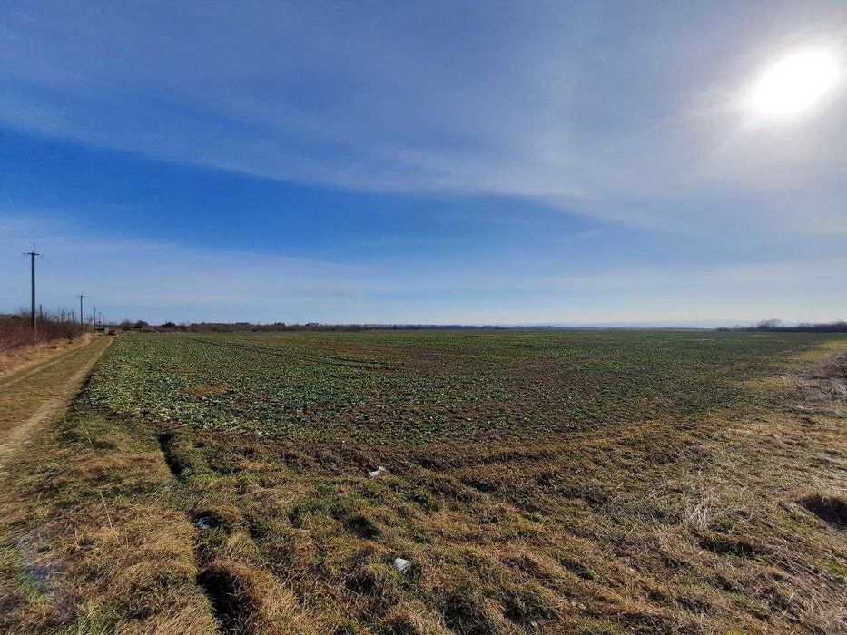 Продаж земельної ділянки село Дуліби