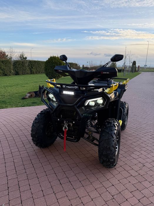 Salon PL/I wł./Quad Mikilon Hammer 200A