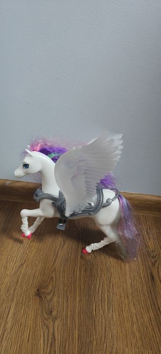 Konik święconce w ciemnosci skrzydła