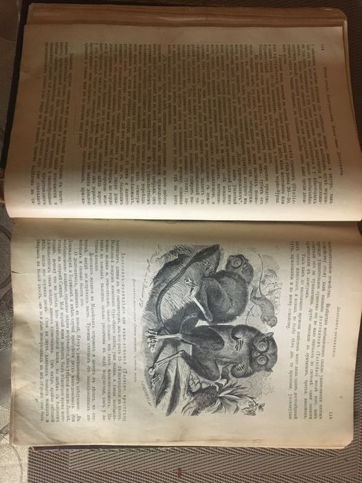 Книги жизнь животных  Брема .