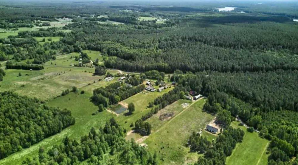 Działka Szczebra , 3002 m² . Serce puszczy augustowskiej - Widok 2