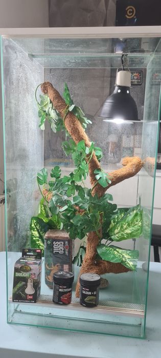 Terrarium 40x40x80