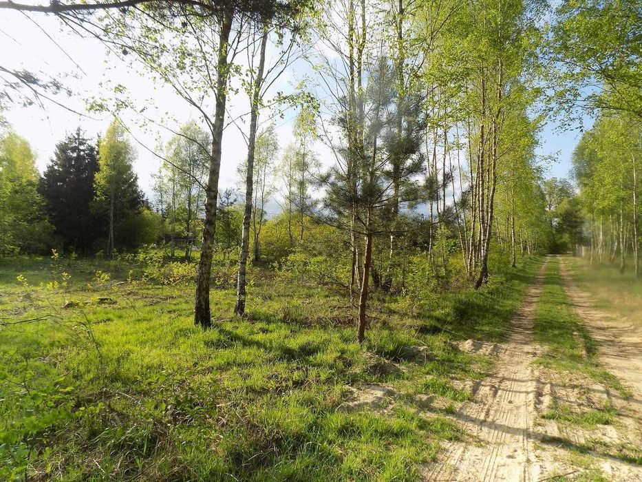 Działka na sprzedaż - Widok 6