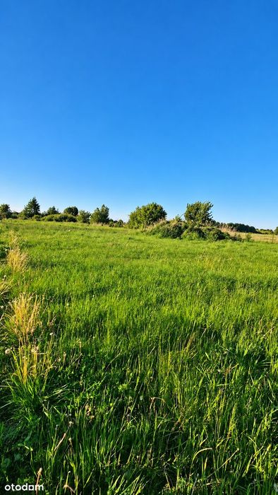 Działka budowlana | Rogity | 3180m²| NOWA NIŻSZA CENA!!!
