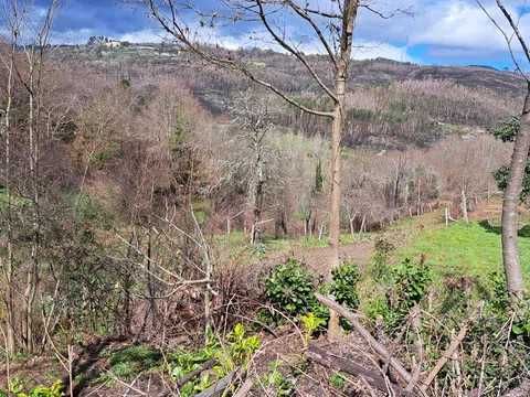 Terreno com mina de água
