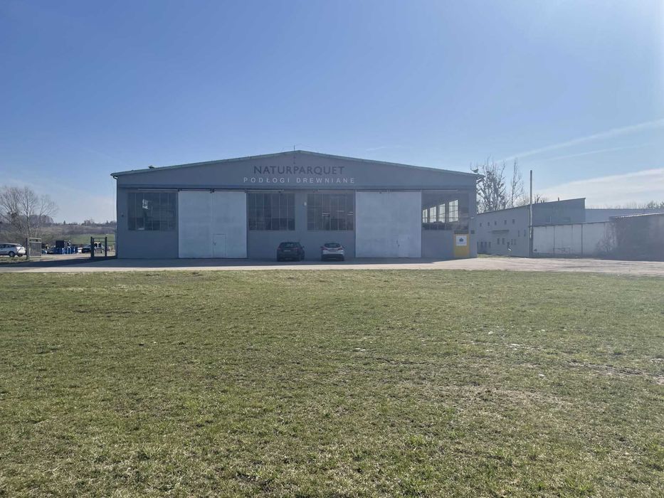 Hurtowa i detaliczna sprzedaż drewnianych podłóg dębowych - Poznań