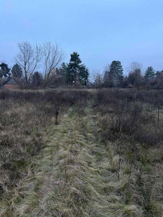 Пропоную до продажу земельну ділянку в с. Мошни
