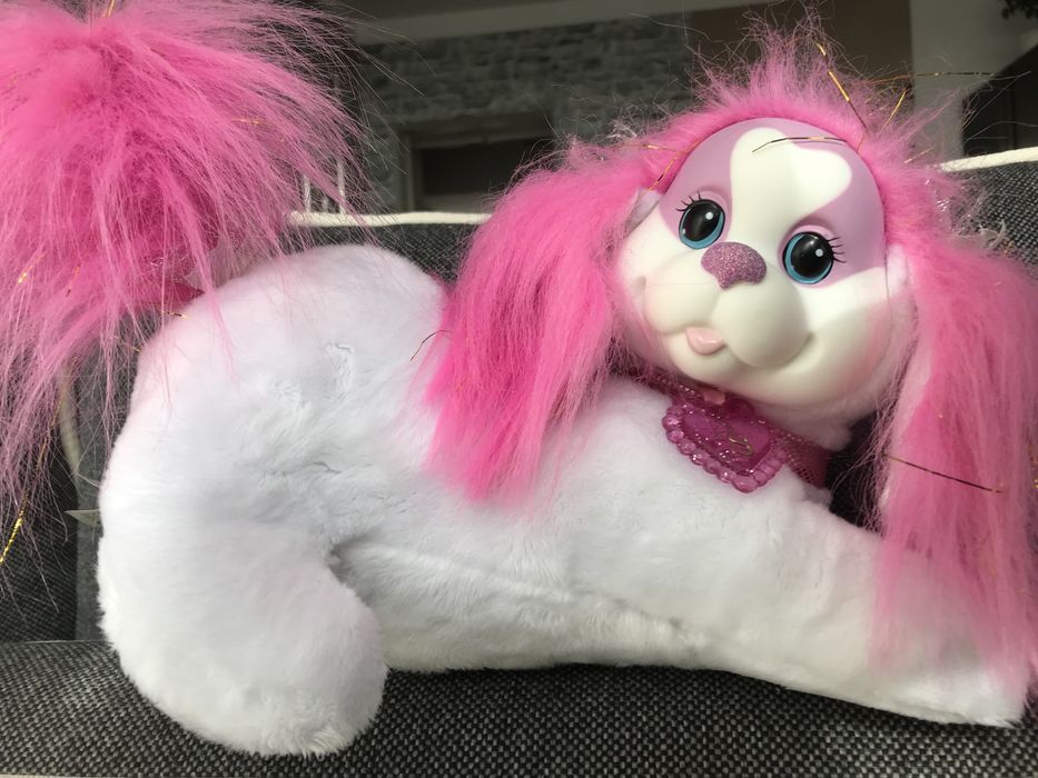 Psia mama ze szczenietami