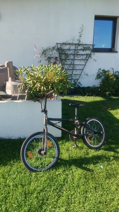 BMX  avigo sting