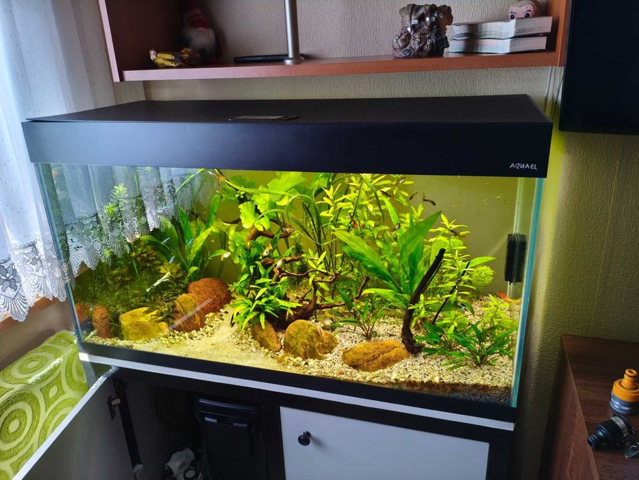 Akwarium OptiWhite 200L i Akcesoria