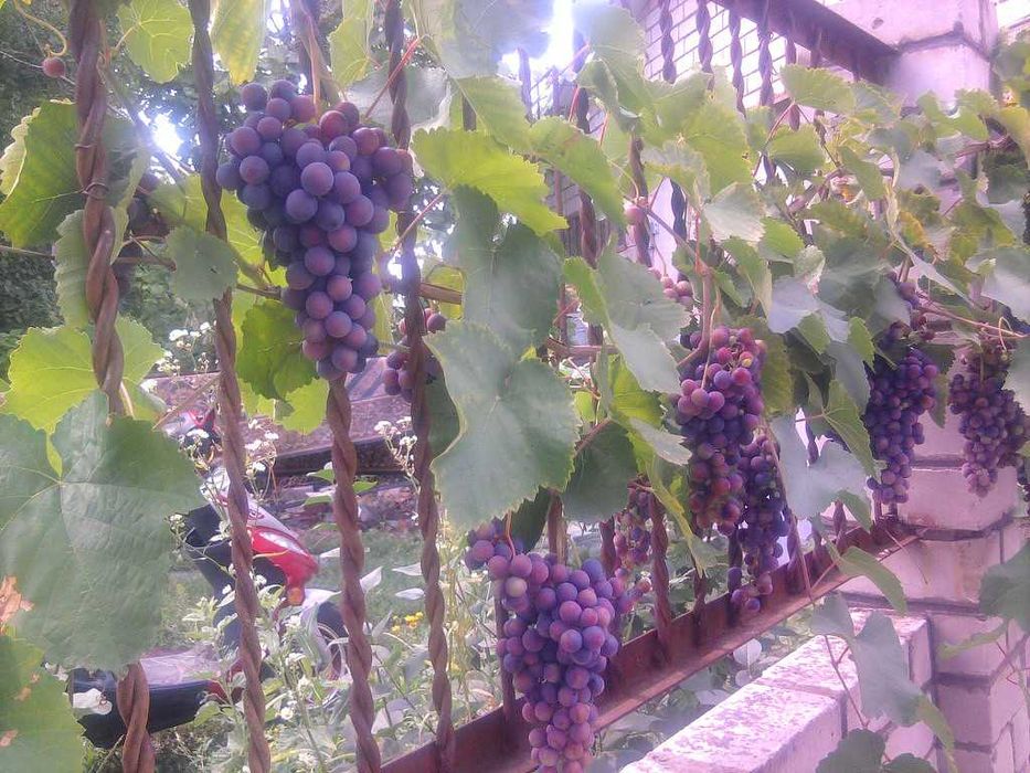 Продам будинок в Пісочині (Надточії)