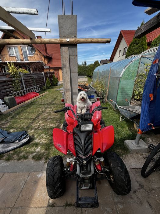 Bashan Ontario quad