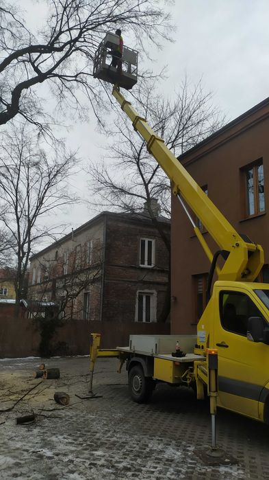 Karczowanie działek Legionowo | Wycinka drzew | Frezowanie pni