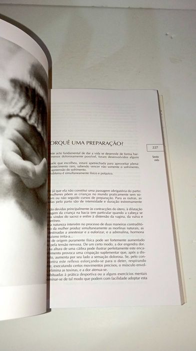 Guia Prático Gravidez