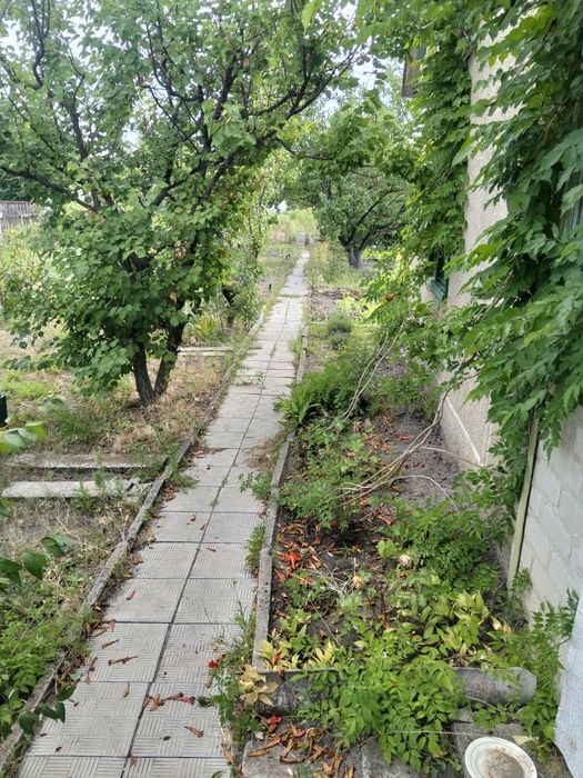 Продам дачу сообщество ,,Аист,,