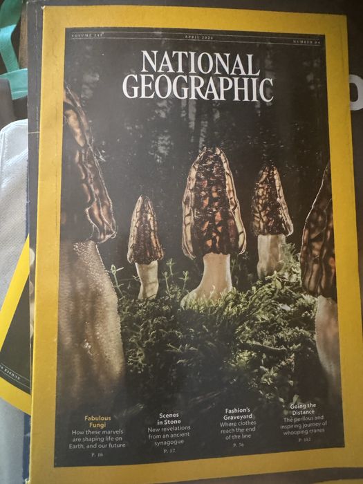 Revistas National Geographic