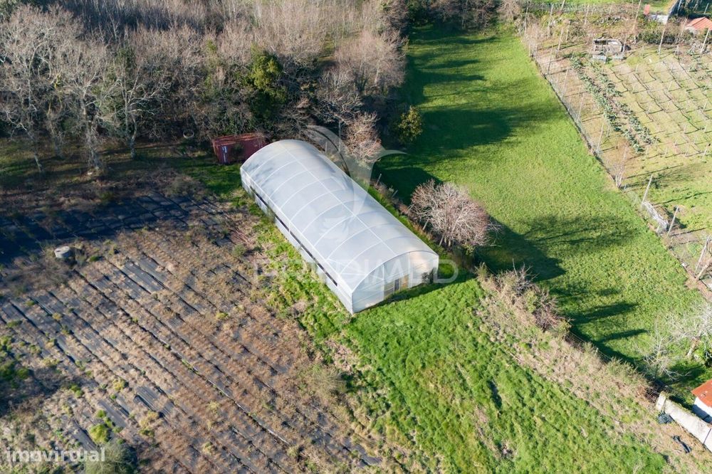 Quinta com casa 300M2 em Serzedelo, Póvoa de Lanhoso, Braga — Serzedelo, Braga