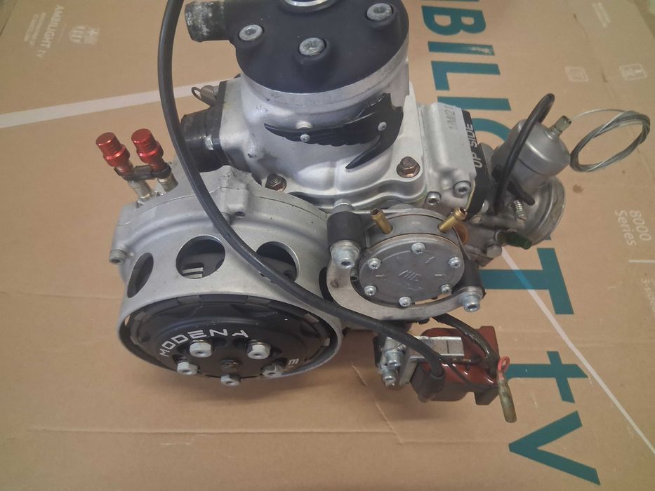 Rotax tm sgm vortex iame kart