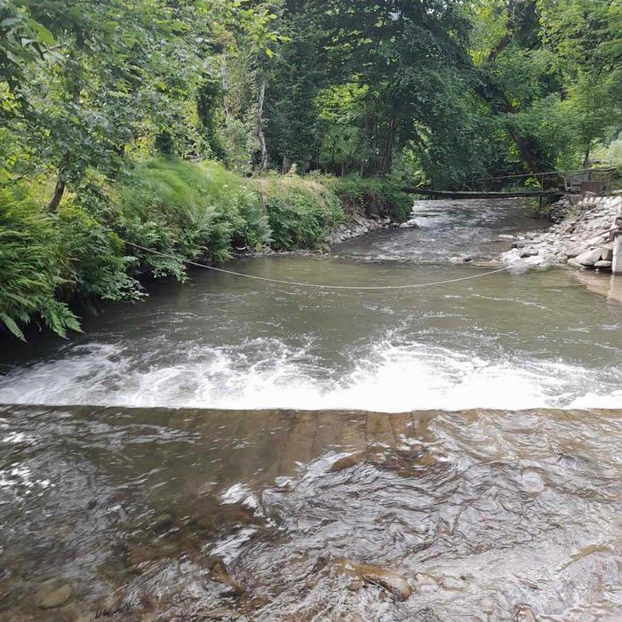 Котедж в заповідній зоні Карпати