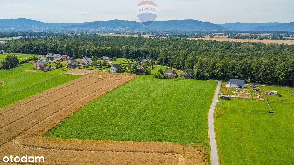 Na Sprzedaż Działka Nidek