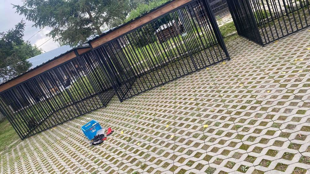 Klatka Klatki kojce kojce box dla psa