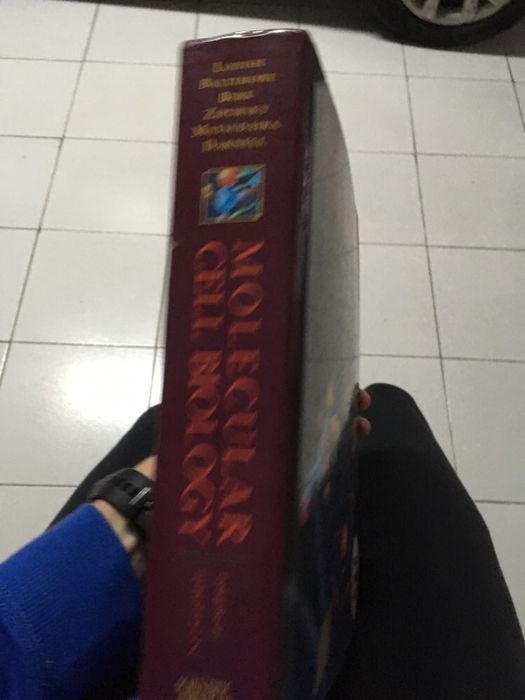 Molecular Cell Biology64751785744898121