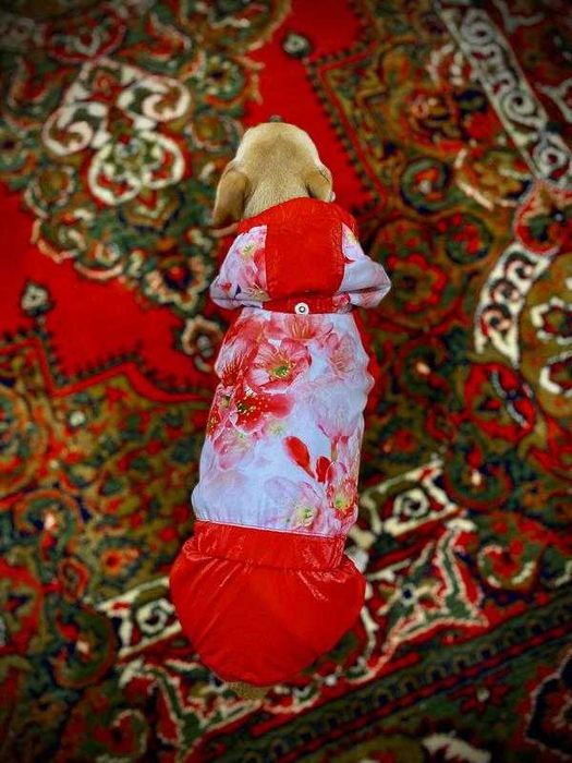 Комбінезон для собаки кота куртка квіти на флісі весняна