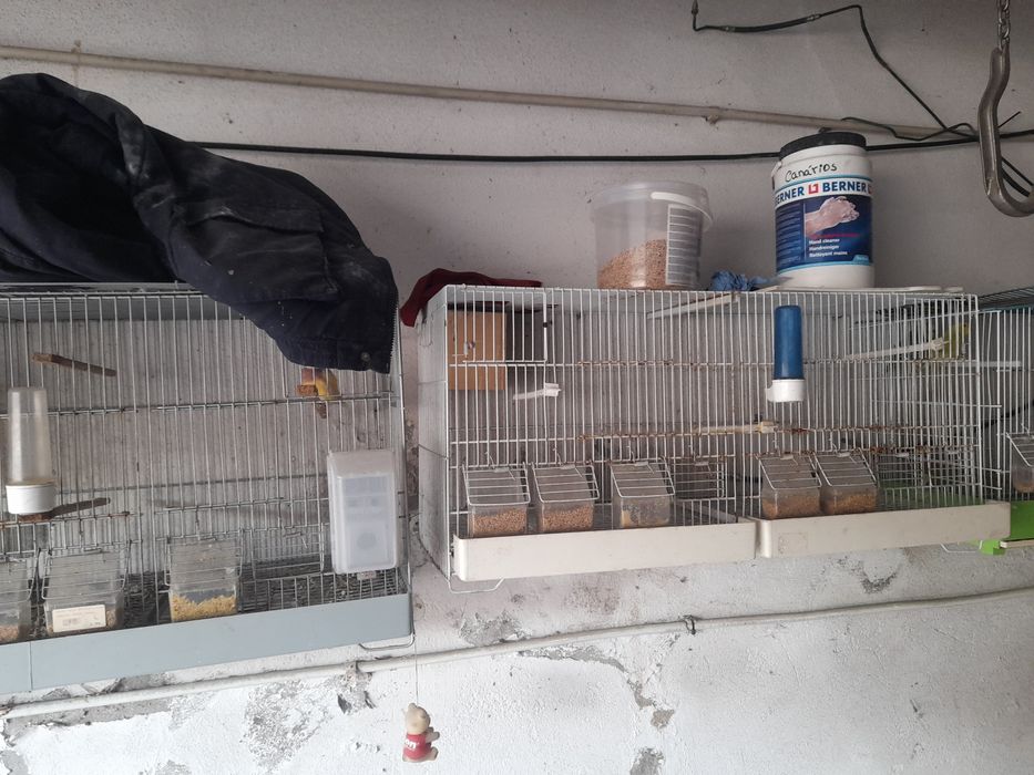 Viveiros duplos para canarios