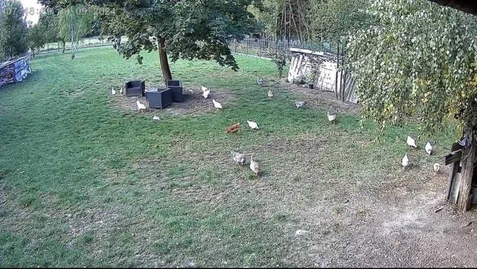 Kit câmera externa a bateria e painel solar