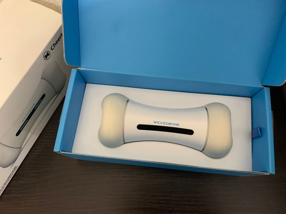 Интерактивная кость для собак Wickedbone, б/у