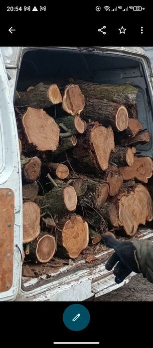 Дрова ясень Кора сосновая, дрова сосновые