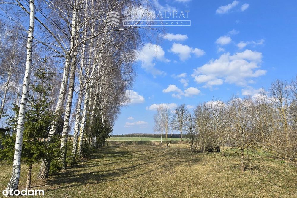 Okazja Podlasie siedlisko 2200 m2 drewniany dom,