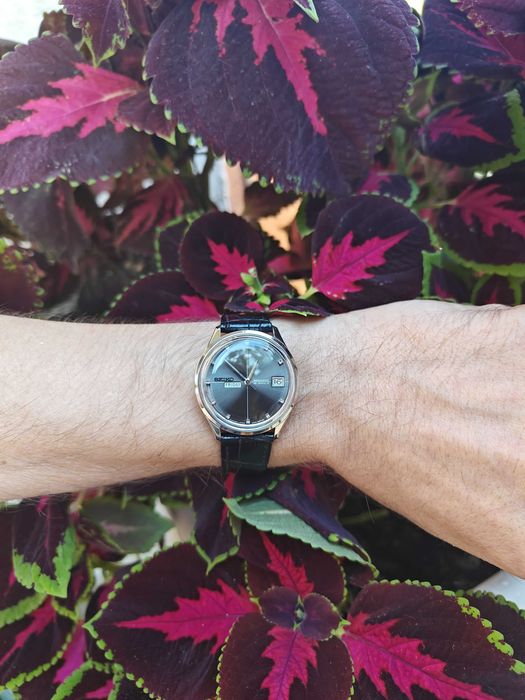 Seiko Sea Lion M55 Weekdater 6206-8001 – czarna tarcza