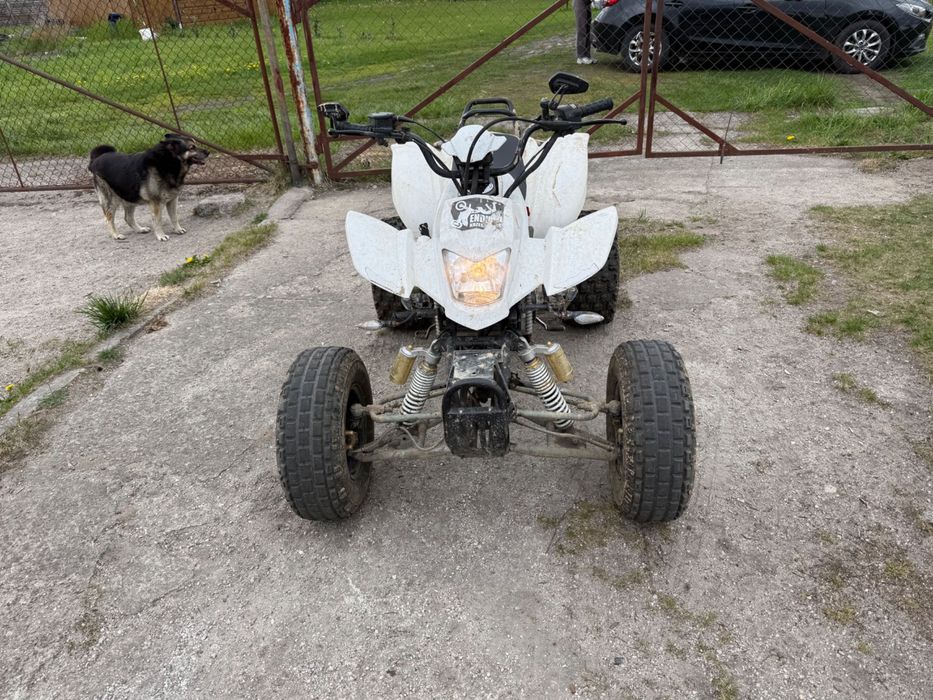 Quad bashan 250