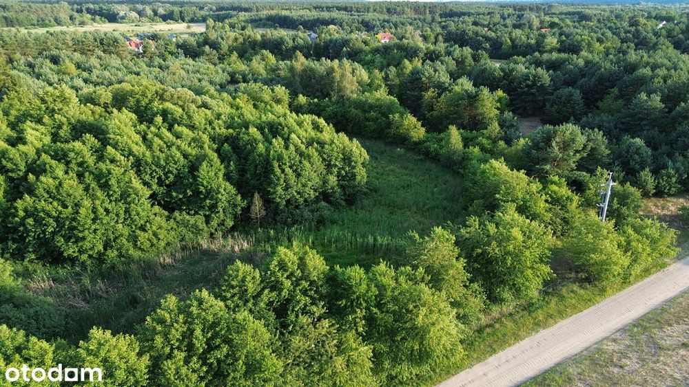 Wyjątkowa działka pod zabudowę rezydencjonalną,blisko Puszczy Zielonka - Widok 4
