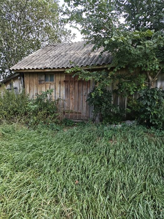 Продам будинок 73 м², 40 соток землі, є хлів та погреби є обмін на авто